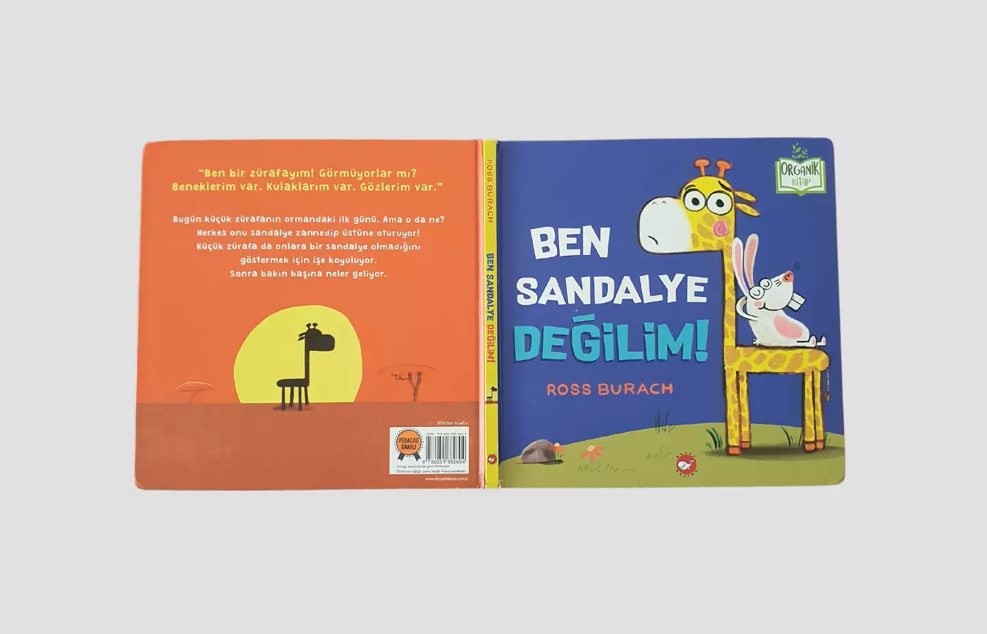 Ben Sandalye Değilim! - Kapak Resmi