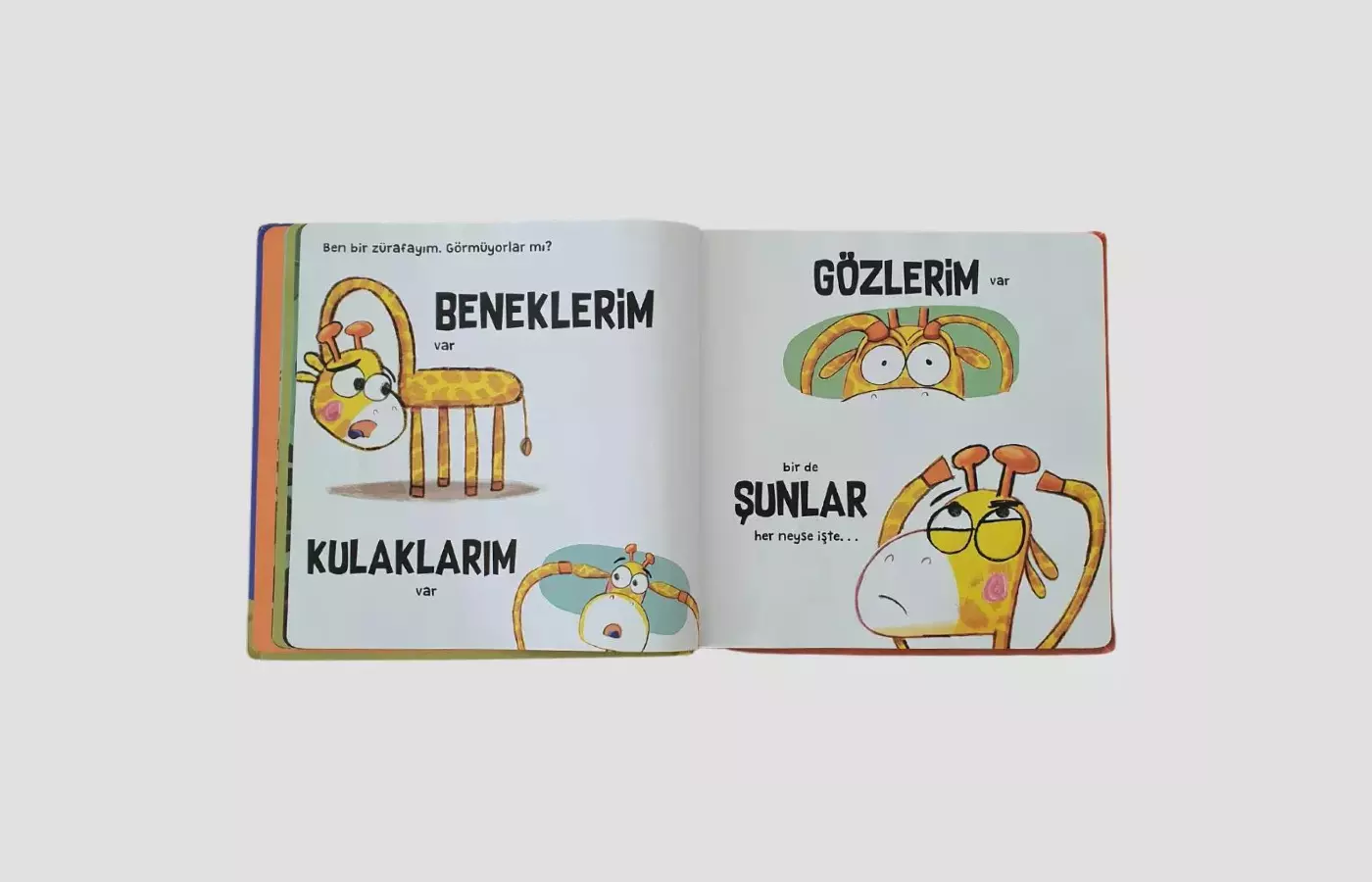 Ben Sandalye Değilim! - İçerik Resmi 2