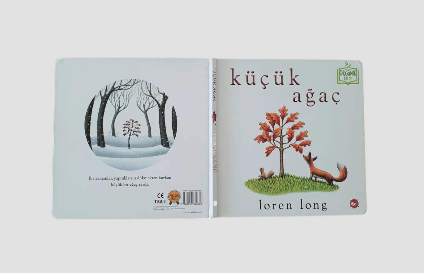 Küçük Ağaç - Kapak Resmi